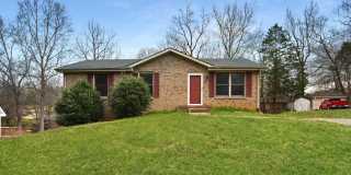 Pet Friendly Three Bedroom with Basement! Gallery 1