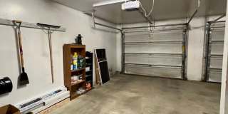 Carat Loop- Gallery 19