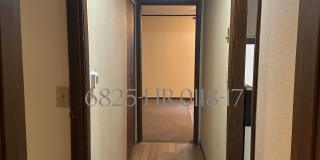 1736 Sun Apple Wy Gallery 7