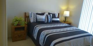 Winter Rental Available October-April 2027 Gallery 26