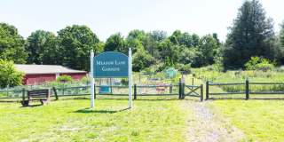 Waterford Village Gallery 38