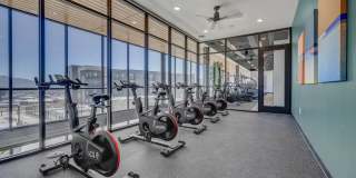 Terra Vista Gallery 28