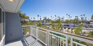 36 Montego Court - 1 Gallery 1