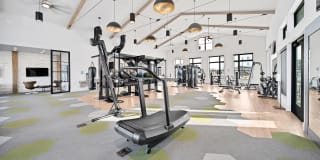 Camber Apartments Gallery 4