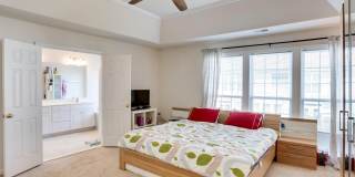8250 RED CARNATION Court Gallery 22