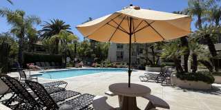 24111 Del Monte Dr. Gallery 22