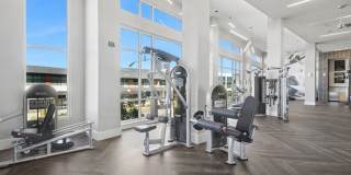 Avalon Lowry Gallery 41