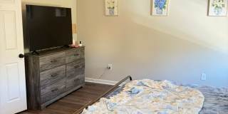 4 Bedroom 4 Bathroom Pre-Leasing for 2026 4 Bedroom 4 Bathroom Pre-Leasing for 2026 Gallery 13