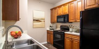 Houston Lake Gallery 36