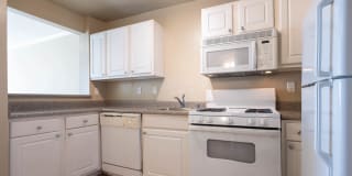 The Vantage Gallery 16