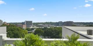 555 Boulevard Gallery 67