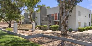 Acacia Hills Gallery 33