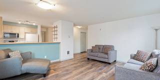 10511 Midvale Ave N Gallery 4