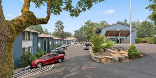 Timberlee Gallery 14