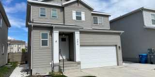 Beautiful House with basement apartment Gallery 3