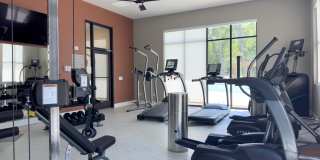 Waterleaf at Salt Creek Gallery 13