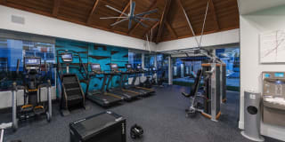 The Highlands Gallery 6