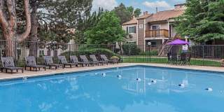 Knollwood Apartments Gallery 10