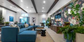 Village at Montclair Gallery 59