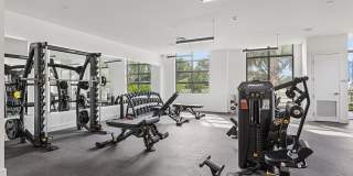 Griffin 441 Gallery 5