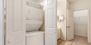 Palmetto Creek Gallery 8