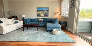 Winter Rental: Pirate's Cove (Pet-friendly!) Gallery 6