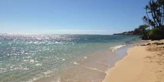 2bd/2ba Home w/Private Pool, Upscale decor, & Near Kahala Beach. Kahala Cottage Gallery 28