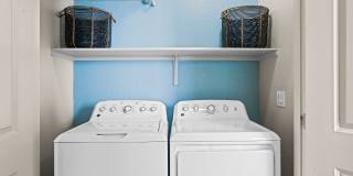 Olive Queen Creek Gallery 16