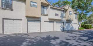 Oak Tree Court Gallery 8