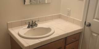 Beautiful Home Close to Campus! Gallery 4