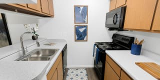 Horizons at Sunridge Gallery 18