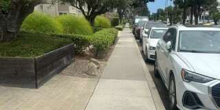 1728 Westcliff Drive Gallery 11