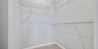 Gravity at 255 Gallery 57