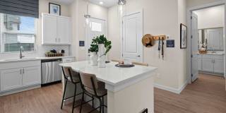 Yardly Cypress Gallery 2