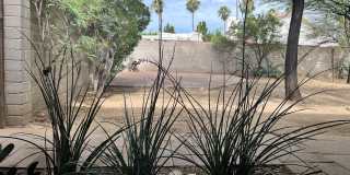 117 N SAWTELLE Avenue Gallery 42