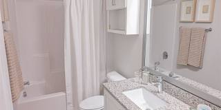 Hawthorne at Pine Forest Gallery 51