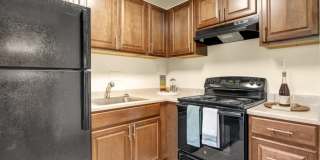 Austin Park Gallery 7