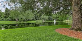 7701 TIMBERLIN PARK Boulevard unit: 1617 Gallery 32