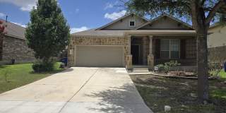 2738 Cinnamon Teal Gallery 1