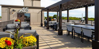 The Ellipse on Excelsior Gallery 18