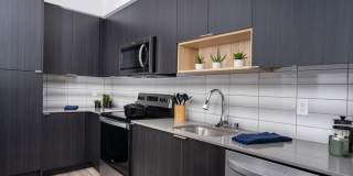 Alexan Main Street Gallery 26