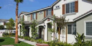 Homecoming at The Preserve Gallery 87