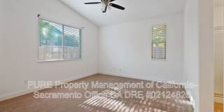 1732 Bamboo Street Gallery 15