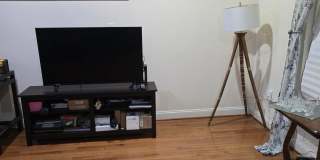 18616 POPLAR GLEN Court Gallery 9