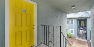 The Canopy Gallery 3