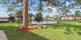 313 Knotty Pine Cir Gallery 24