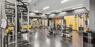 Arrive Hollywood Arrive Hollywood Gallery 32