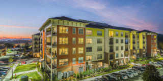 The District Gallery 16