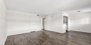 Palmetto Square Gallery 26