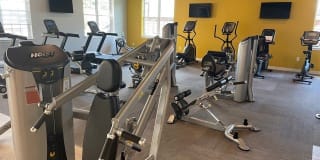 City Line East Gallery 24